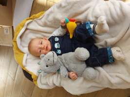 louis